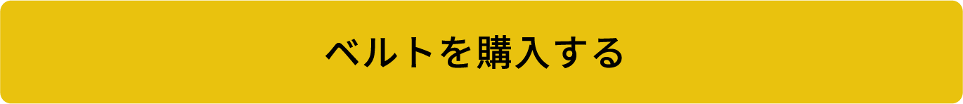 ベルトを購入する